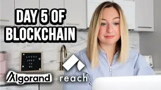 Day 5 of Blockchain | Preventing Hacks through Automatic Verifications