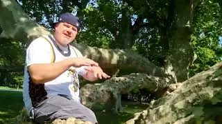 BcJoe - Sun is shining