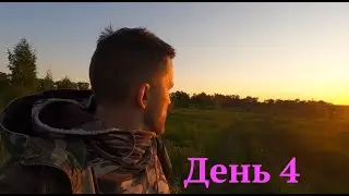 Ломка продолжается . Катаю на велике . Красивый закат . Ищу какие Елки можно спасти . Кошу косой