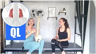 Why the Quadratus Lumborum Spasms