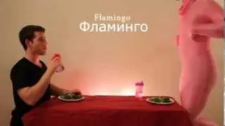 Как едят животные(ПРИКОЛ!!!)
