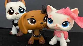GRLwood Bisexual LPS MV