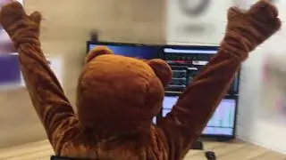 В нашей команде зарабатывает даже и медведь!