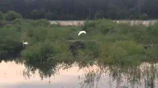 иду на посадку