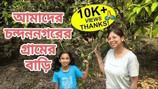 ইউরোপ থেকে ফিরে চন্দননগরের গ্রামের বাড়ি, পুকুর ও বাগান ঘুরলাম । Joint family । Native Village Tour