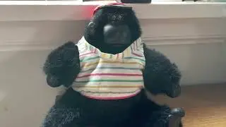 1st Magogo Macarena Gorilla - Demo