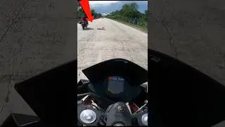Dog Accident On Road 🥺   #saveanimals #savedogs