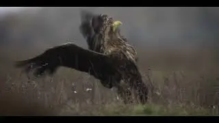 II. helyezett - Múlt és Jelen