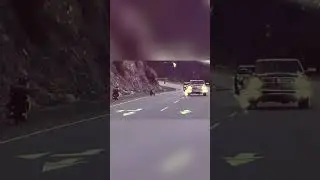 Погоня медведя за велосипедистом