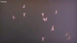 Sharon Van Etten - Darkish (Lyric Video)