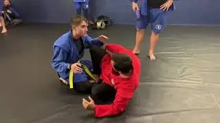 Simple butterfly guard sweep 😎￼#shorts