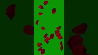 Free Green Screen Rose Petals Falling for YouTube 