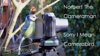 Totally FREE VIDEOS From My PIXABAY Portfoilo