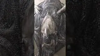 Iron rhino