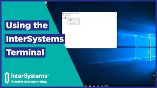 Using the InterSystems Terminal