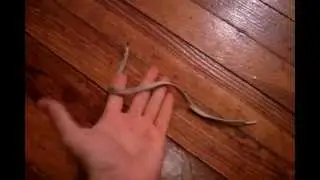 Magic Rope Trick tutorial