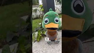Our Plushie is Finally here! 