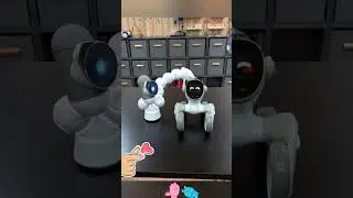 Loona robot and clicbot are friends #loona #loonapetbot #loonarobot #clicbot #clicbotrobot #airobot