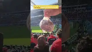 کورد و ناو یاری موندیال لەگەل گولەبەروژ
