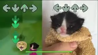 Kitten in Towel VS Very Angry Cat Madness   Friday Night Funkin' Meme