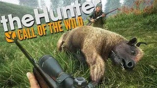 THE HUNTER CALL OF TH WILD