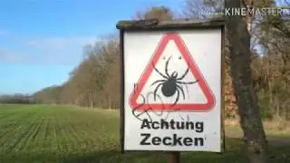 The easiest way to remove a tick.