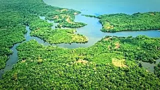 Brazil - Flight over the Amazon and Manaus HD