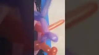 13 сентября 2024 г.