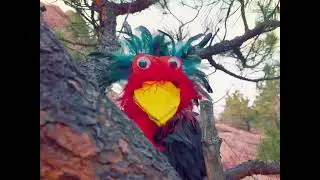 Throwing Rocks - Official Music Video