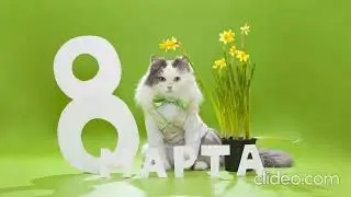 Юрий Тарасов - Женщина - синоним весны, любви и нежности, ласки!