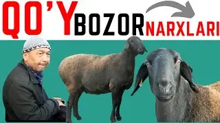 ANA XOLOS! QO'Y BOZOR NARXLARI ARZONLADIMI ? | ANDIJON, ASAKA - PAYSHANBA BOZORI