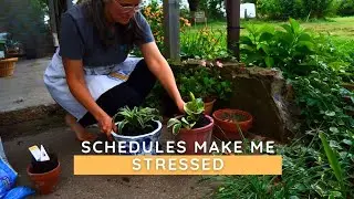 Homemaking Routines