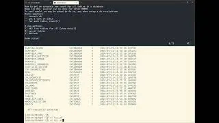 How to get an accurate row count for all tables in a Db2 database