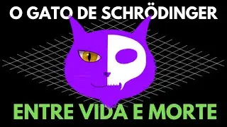 O Gato de Schrödinger: Entre a Vida e a Morte! - Explicado