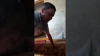 За белый хлеб порву как тузик грелку , даже отожмусь если надо