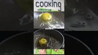 everyone can cook eggs
