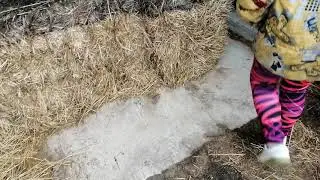 Заброшенная ферма. Часть 4