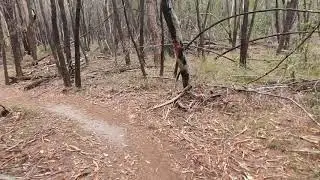 Bayview Conservation Area