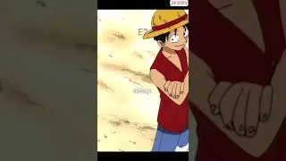 join my crew zoro