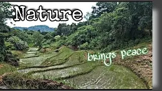 Refreshing Views | Nature