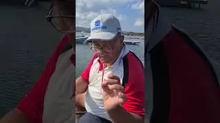 BOLOGNESE FISHING 🐟 HOW TO MAKE A WINNING BAIT for SEA BREAM (bait: maggot!) 