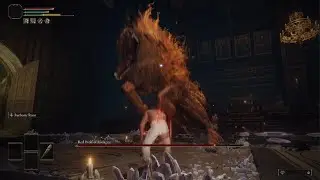 Elden Ring - Wretch Lvl1 Vs Red Wolf of Radagon