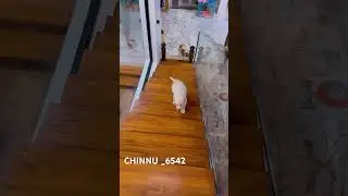 CHINNU 👼🏻👶🥰🥹🥹