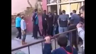 taurul uraste betivii
