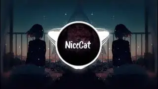 NiceCat - Flash