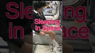 Sleeping in Space 🚀
