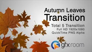 Autumn Leaves Transition