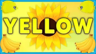 Color Yellow | Learn the Color Yellow with Examples