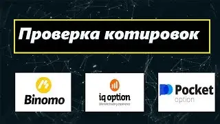Pocket Option. Проверка котировок