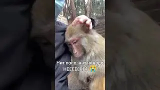 Папа не гоняй... 😭 